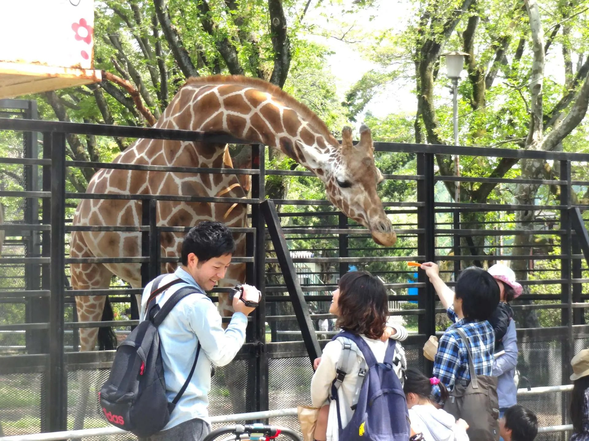 🦁 우쓰노미야 동물원 (우쓰노미야 도부쓰엔) 이미지 3